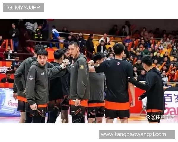 陶汉林：从篮球场上的拼搏者到社会公益的热心人